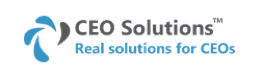 CEO Solutions